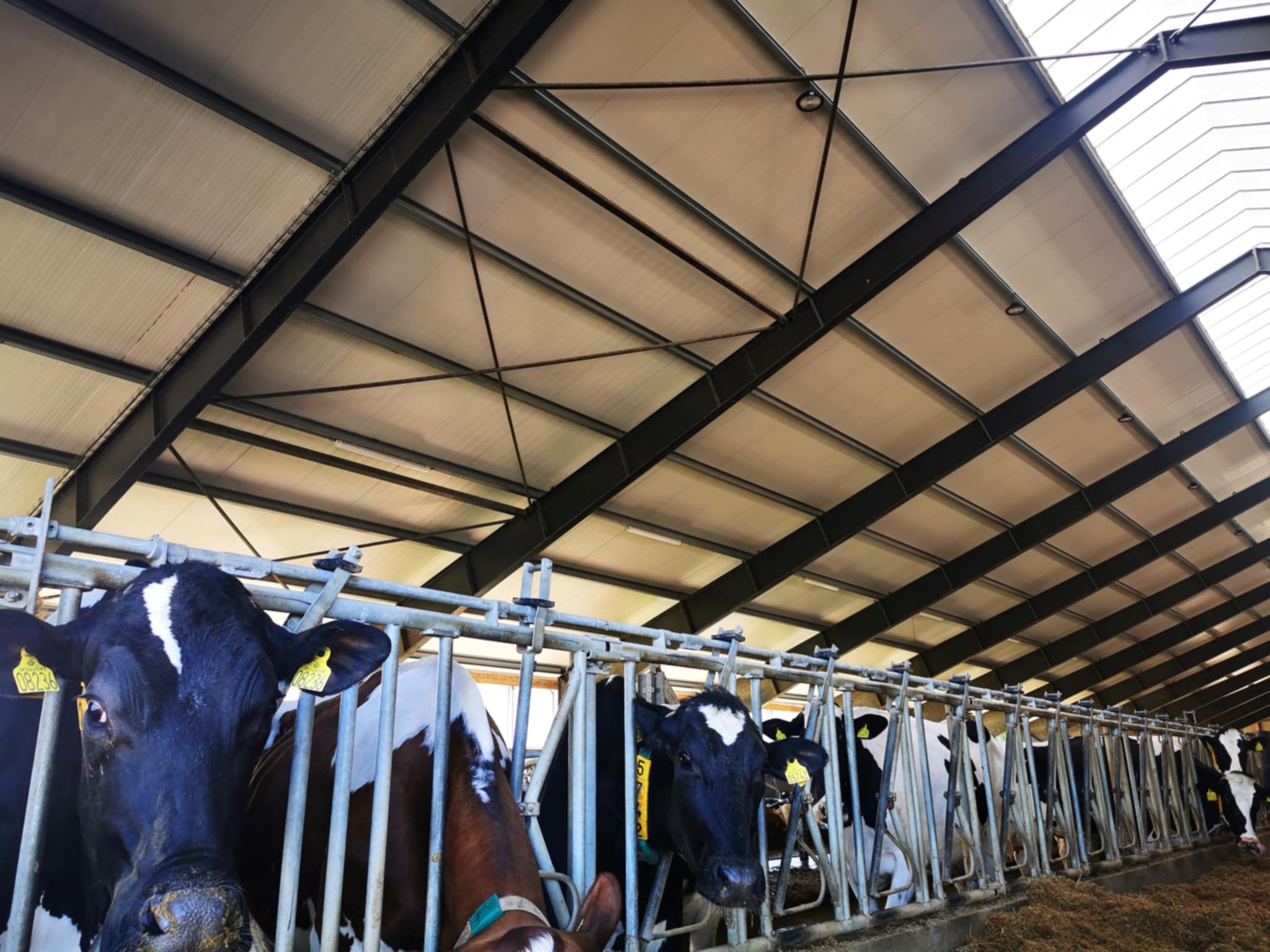 Hardeman PIR sandwichpaneler